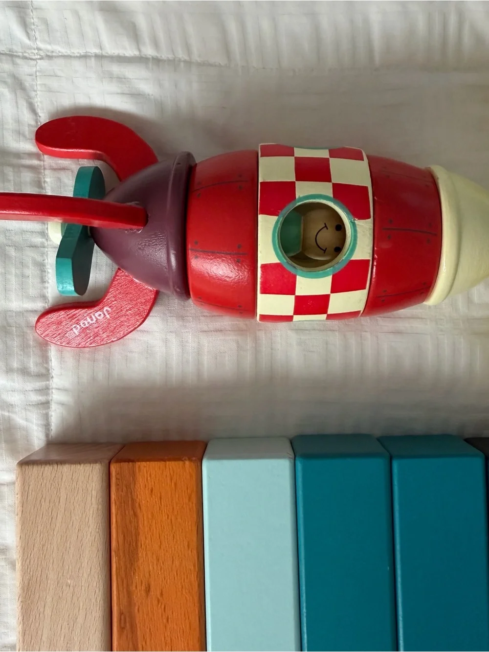 Tegu wooden magnet